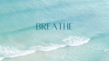 z5711655026202_af01f37638ecb0a607e6bb486fca410e