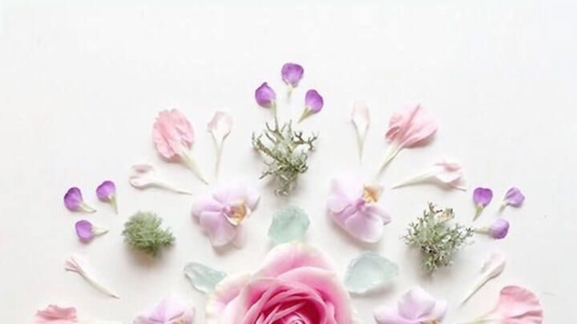 Hình bài bản chất thật sự của ta bị che giấu