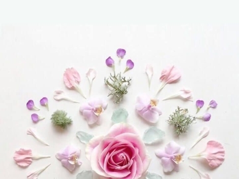 Hình bài bản chất thật sự của ta bị che giấu